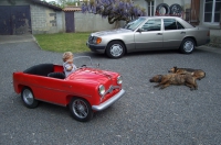 Restauration Peugeot 403 cabriolet manège 1960